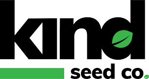 Exploring the World of Marijuana Seeds Nevada Exploring the World of Marijuana Seeds Nevada